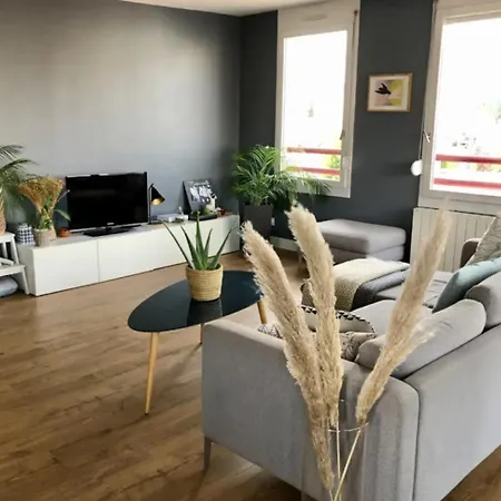 2 Chambres-garage Montchat Apartment
